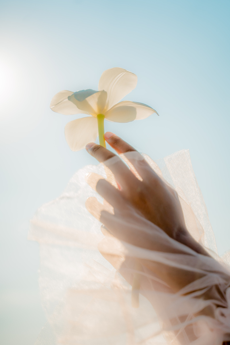 Hand in Sleeve Holding Flower