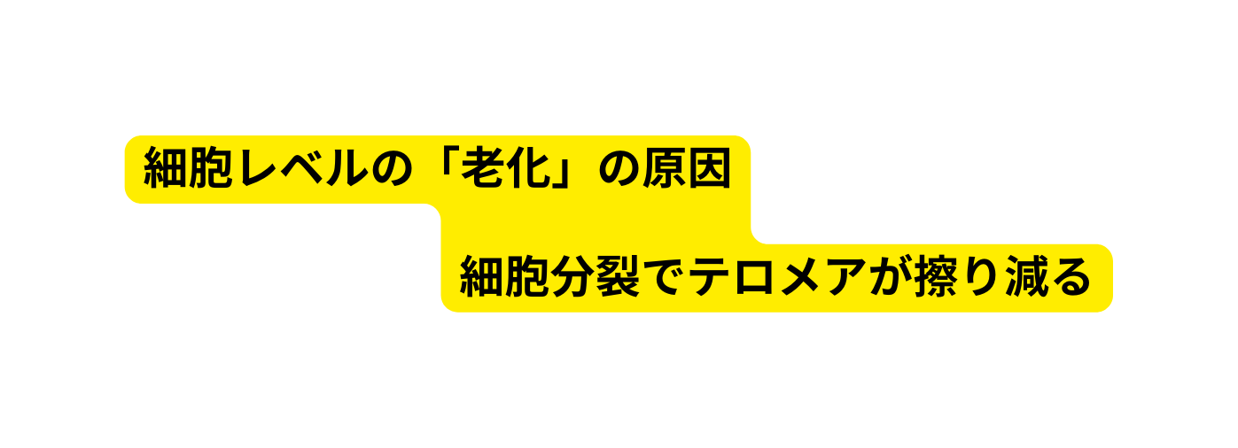 細胞レベルの 老化 の原因 細胞分裂でテロメアが擦り減る